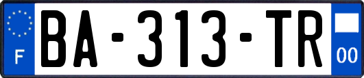 BA-313-TR