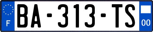 BA-313-TS