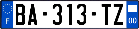 BA-313-TZ