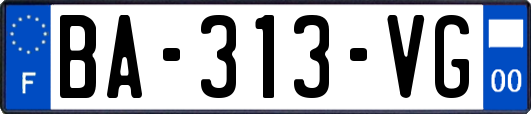 BA-313-VG