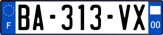 BA-313-VX