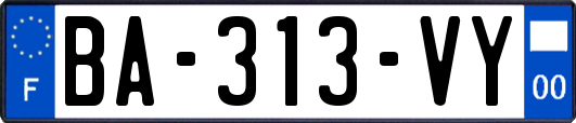 BA-313-VY