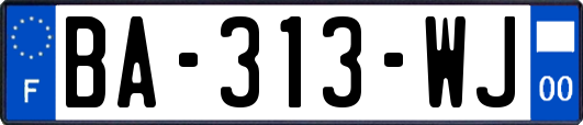 BA-313-WJ