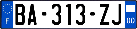 BA-313-ZJ