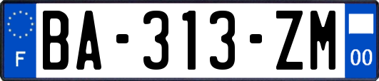 BA-313-ZM