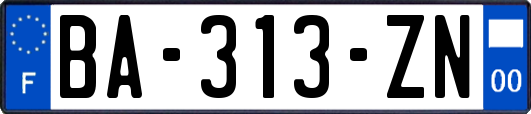 BA-313-ZN