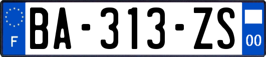 BA-313-ZS