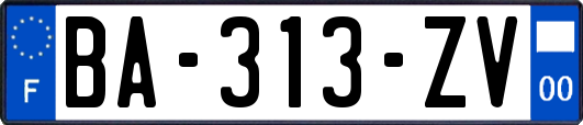 BA-313-ZV