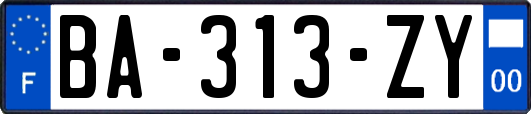 BA-313-ZY