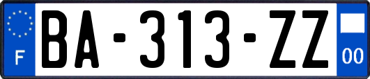 BA-313-ZZ