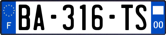 BA-316-TS