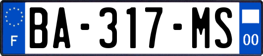 BA-317-MS