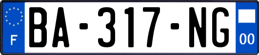 BA-317-NG