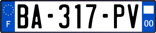 BA-317-PV