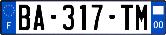 BA-317-TM