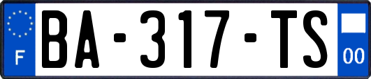BA-317-TS