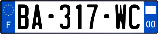 BA-317-WC