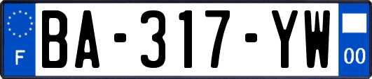 BA-317-YW