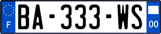 BA-333-WS