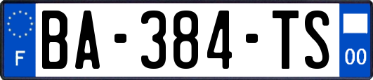 BA-384-TS