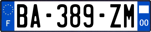 BA-389-ZM