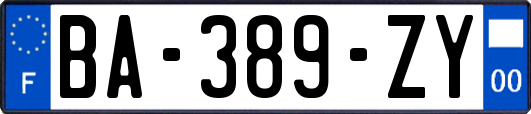 BA-389-ZY