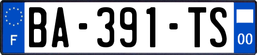 BA-391-TS