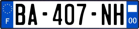 BA-407-NH