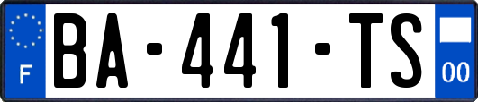 BA-441-TS