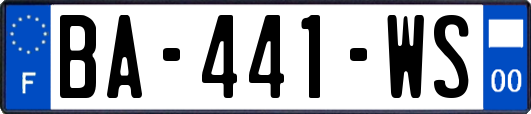 BA-441-WS