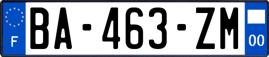 BA-463-ZM