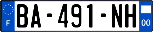 BA-491-NH