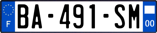 BA-491-SM