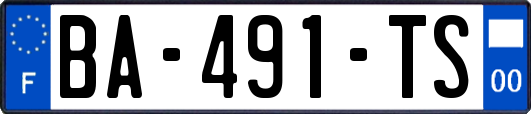 BA-491-TS