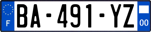 BA-491-YZ