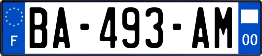 BA-493-AM