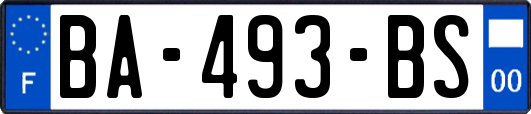 BA-493-BS