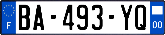 BA-493-YQ