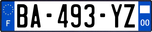 BA-493-YZ