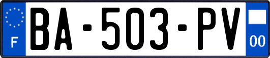 BA-503-PV