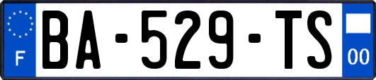 BA-529-TS