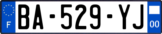 BA-529-YJ