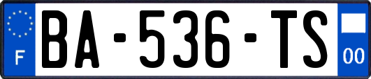 BA-536-TS