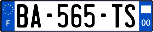 BA-565-TS