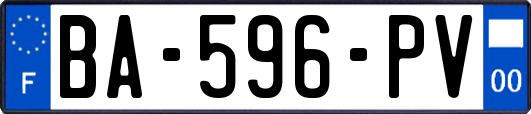 BA-596-PV