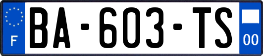 BA-603-TS