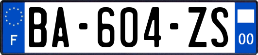 BA-604-ZS