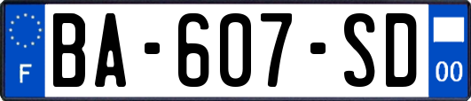 BA-607-SD