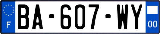 BA-607-WY