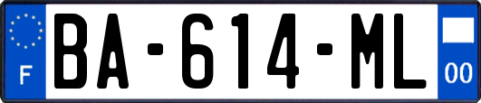 BA-614-ML